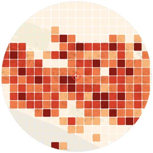 MapToNap 生成的密度分析图